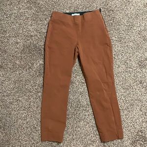 everlane stretchy cotton pants